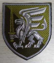81 ДШБ олива
